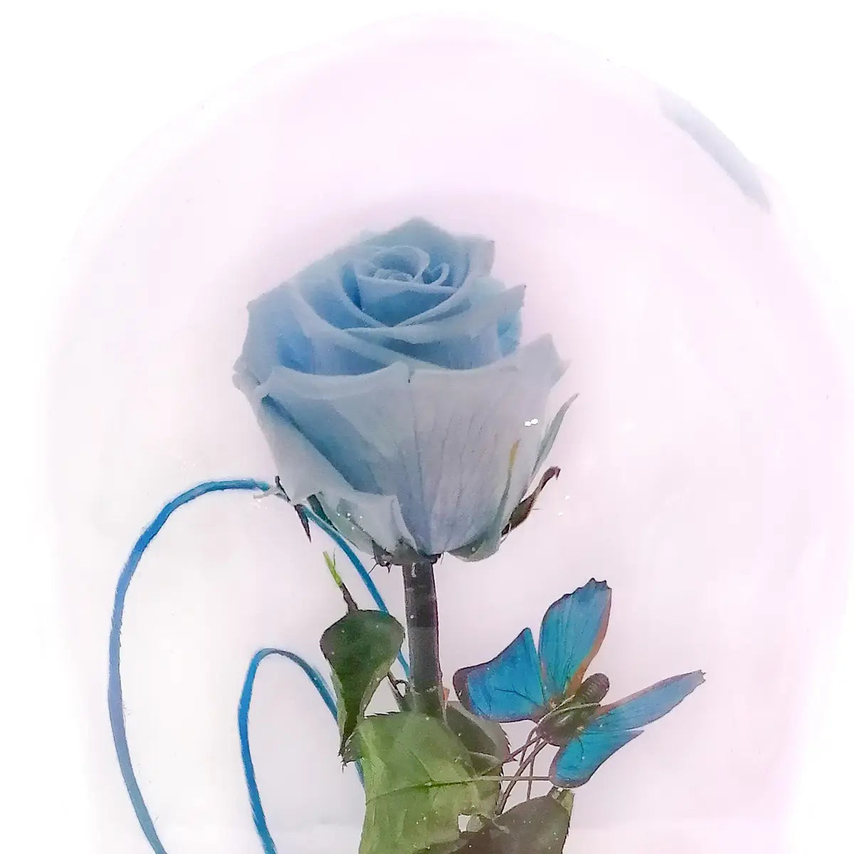 Flores preservadas