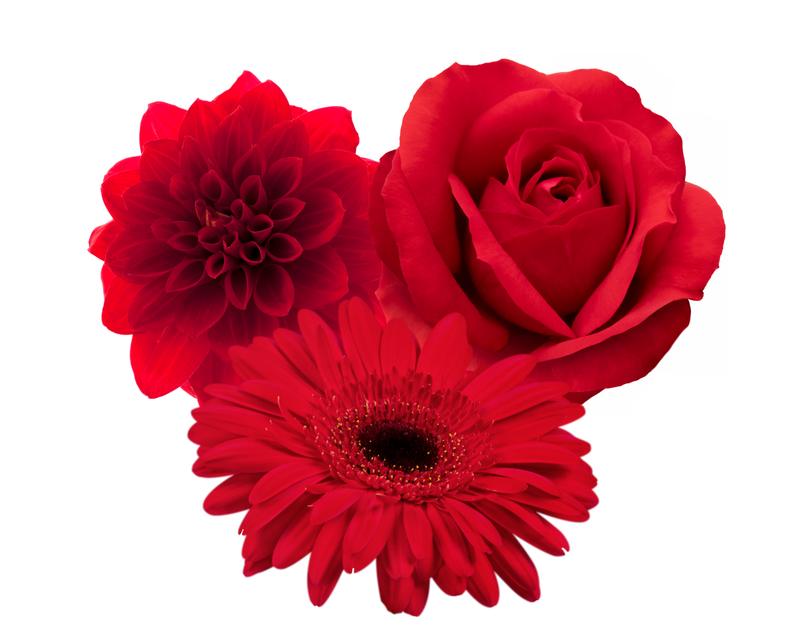 Flores rojas
