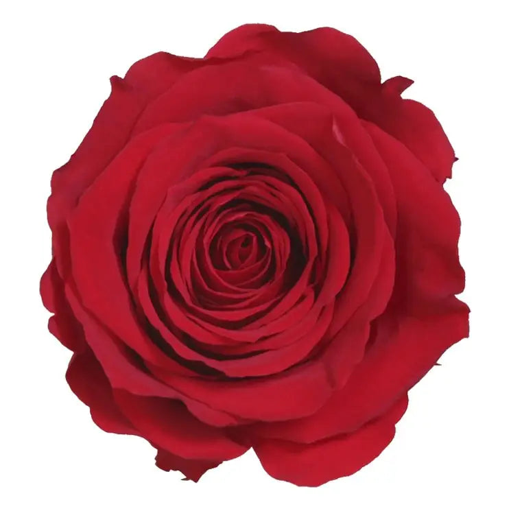 Flor individual