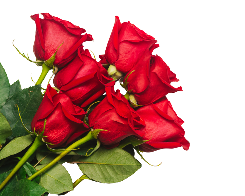 Rosas