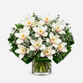 Ramo de orquídeas blancas
