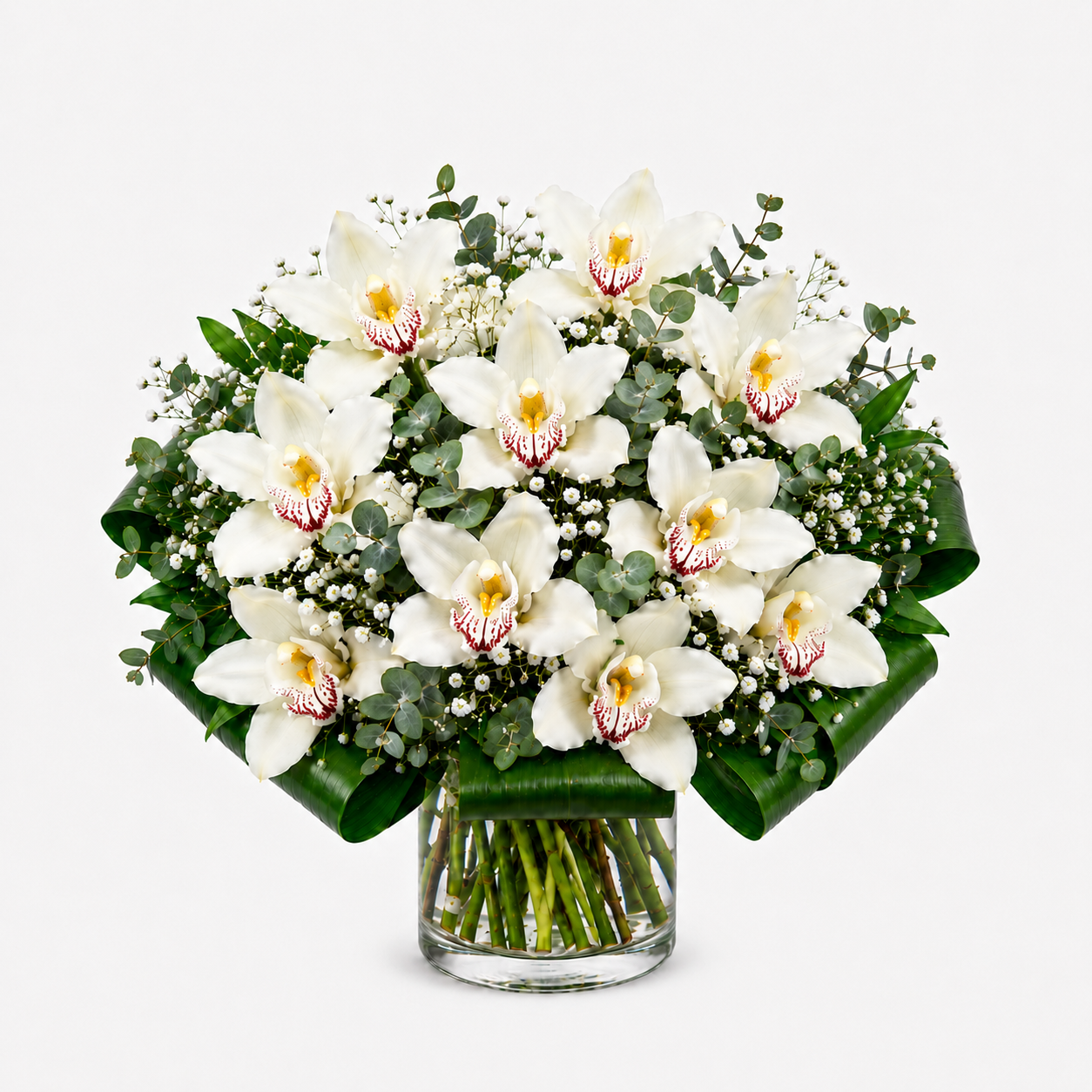 Ramo de orquídeas blancas