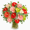 Red anthurium bouquet