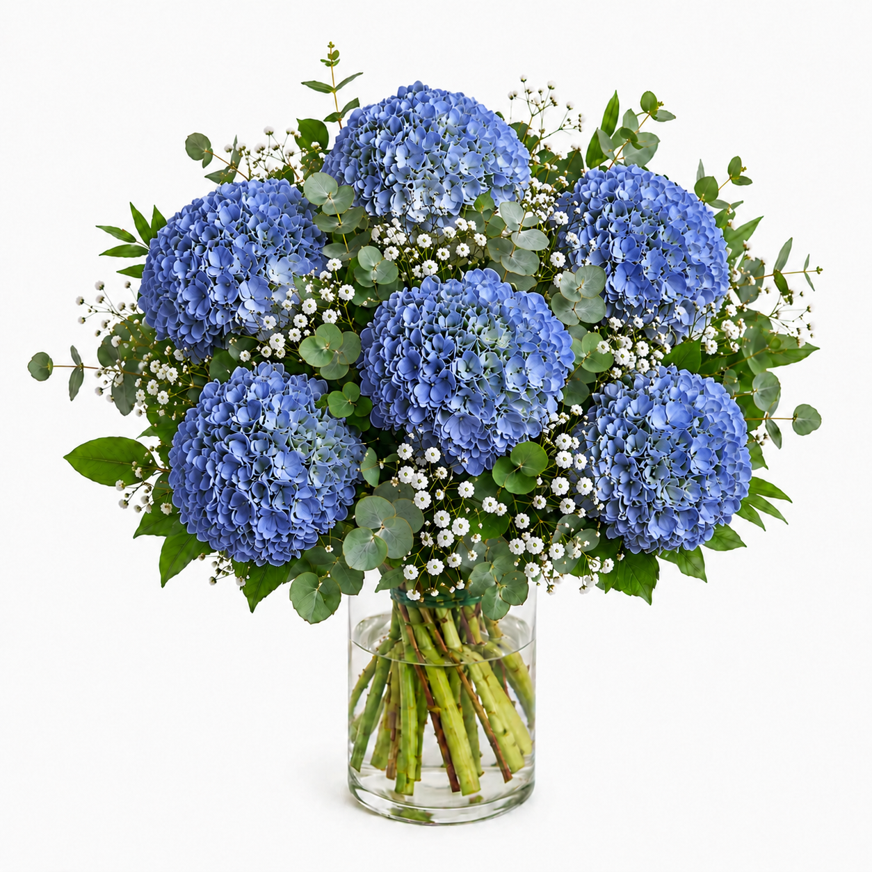 Ramo de hortensias azules