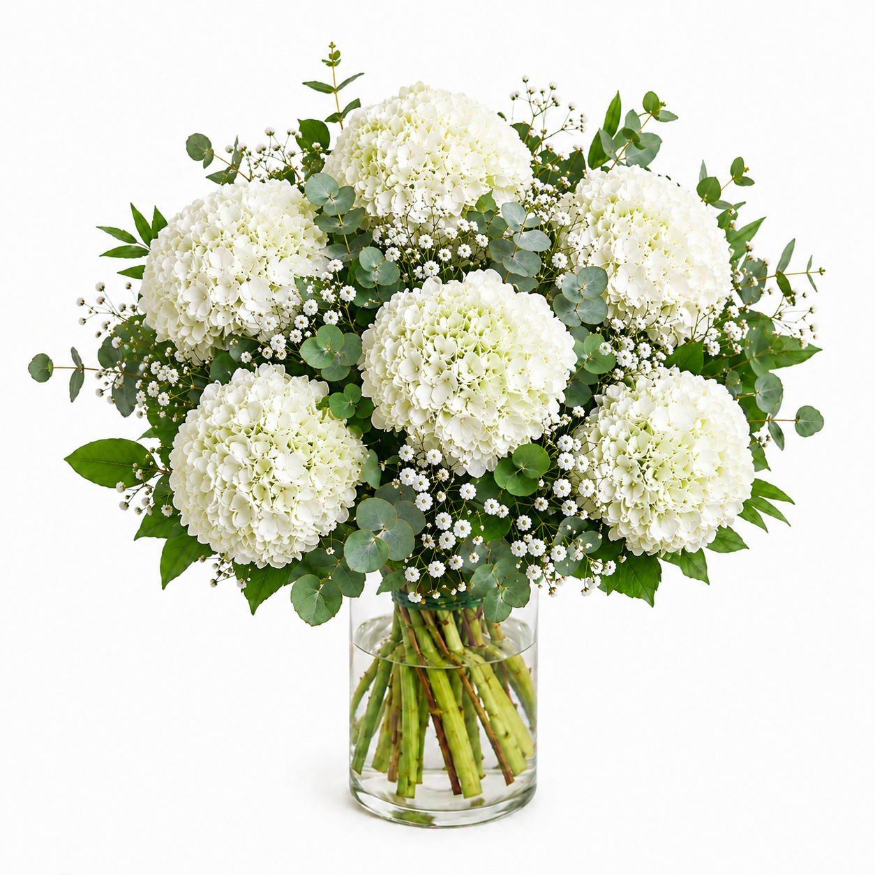 Ramo de hortensias blancas