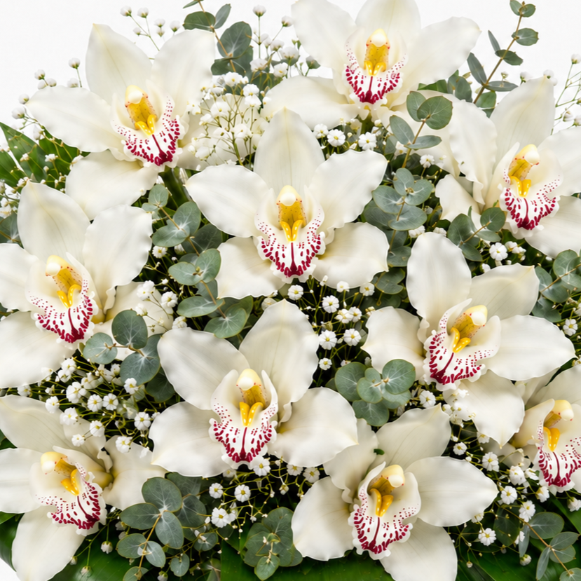 Ramo de orquídeas blancas